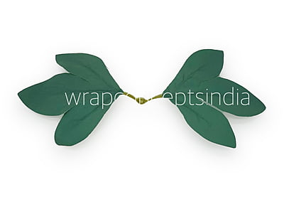 Oak Tree Leaves