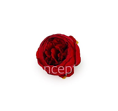 Peony - Red