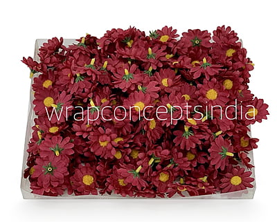 Wine Daisy Flowers
