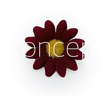 Wine Daisy Flowers