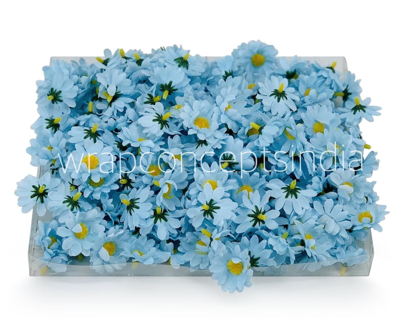 Soft Blue Daisy Flowers Soft Blue Daisy Flowers