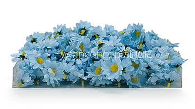 Soft Blue Daisy Flowers Soft Blue Daisy Flowers
