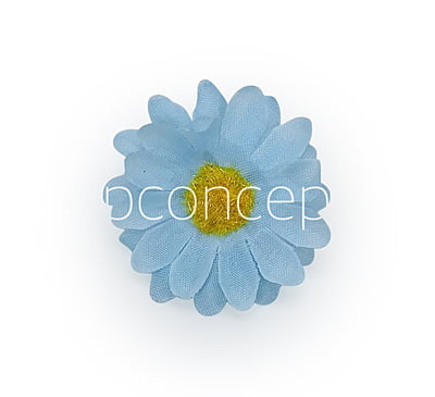 Soft Blue Daisy Flowers Soft Blue Daisy Flowers