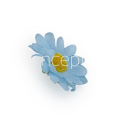 Soft Blue Daisy Flowers Soft Blue Daisy Flowers