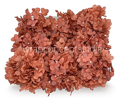 Indian Red Hydrangeas Indian Red Hydrangeas