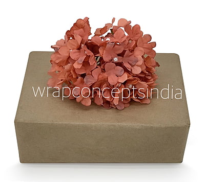 Indian Red Hydrangeas Indian Red Hydrangeas
