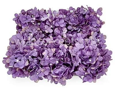 English Violet Hydrangeas