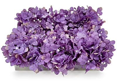 English Violet Hydrangeas