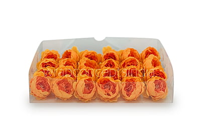 Orange Peonies Orange Peonies
