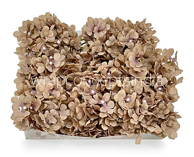 Dirt Hydrangeas