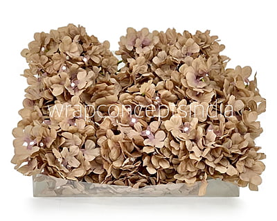 Dirt Hydrangeas