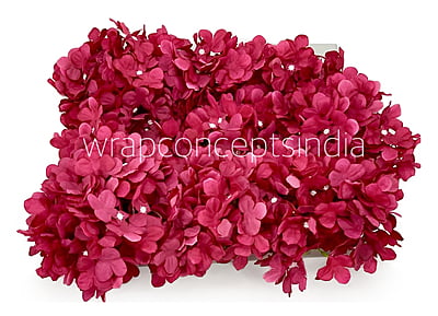 Cerise Hydrangeas
