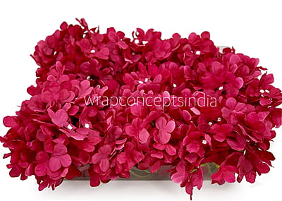 Cerise Hydrangeas