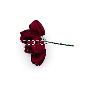 Ruby Tulip Buds on Stick Ruby Tulip Buds on Stick