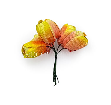 Lemon with hints of Peach Tulip Buds on Stick Lemon with hints of Peach Tulip Buds on Stick