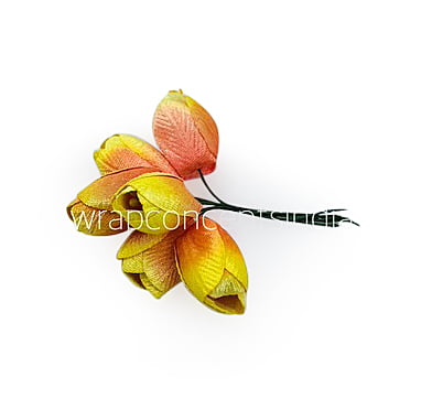 Lemon with hints of Peach Tulip Buds on Stick Lemon with hints of Peach Tulip Buds on Stick
