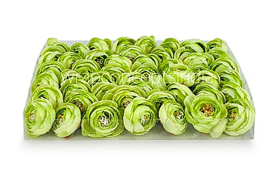 Small Peony-Lime Green Small Peony-Lime Green