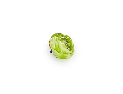 Small Peony-Lime Green Small Peony-Lime Green