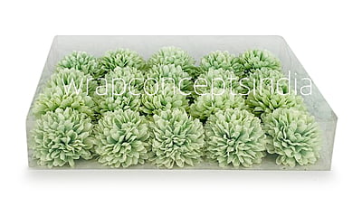 Carnation - Pistachio Green