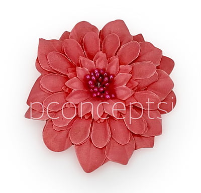 Dahlia Flower - Watermelon Dahlia Flower - Watermelon