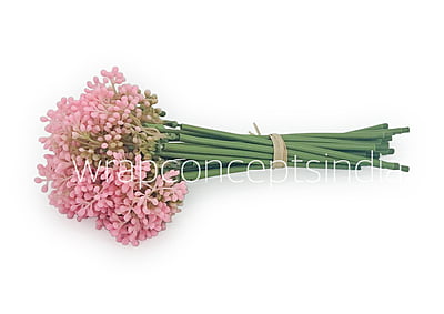 Baby Breath Floret Bunch -Mutlicolor Baby Breath Floret Bunch -Mutlicolor