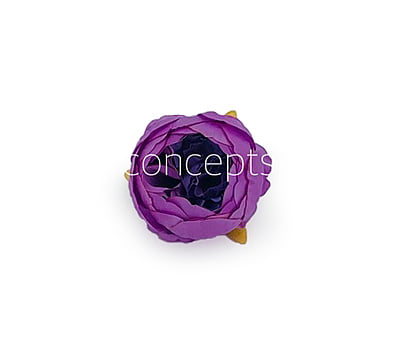 Peony - Lilac with hints of Violet Peony - Lilac with hints of Violet
