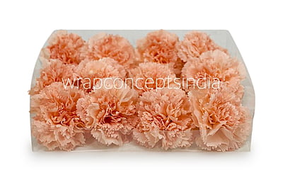 Melon Carnation Melon Carnation