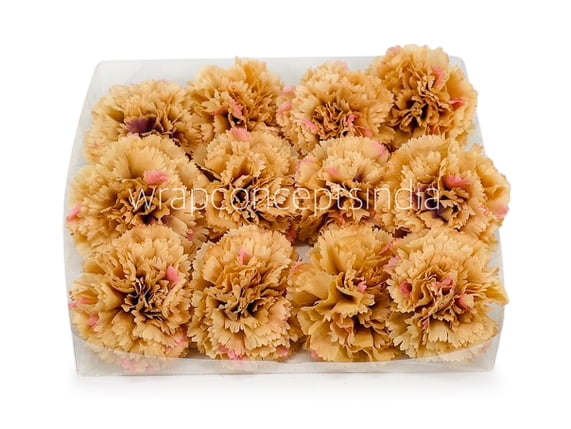 Ginger Carnation