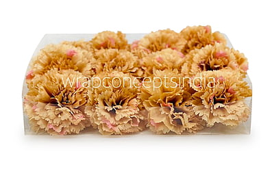 Ginger Carnation