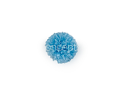 Carnation - Sky Blue