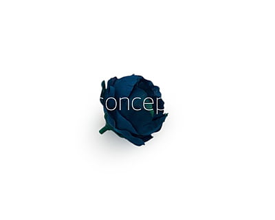Cobalt Blue with hints of Green Peonies