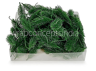 Pine Tree Leaves