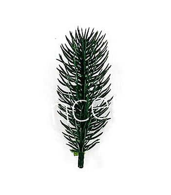 Pine Tree Leaves
