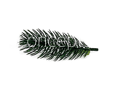 Pine Tree Leaves