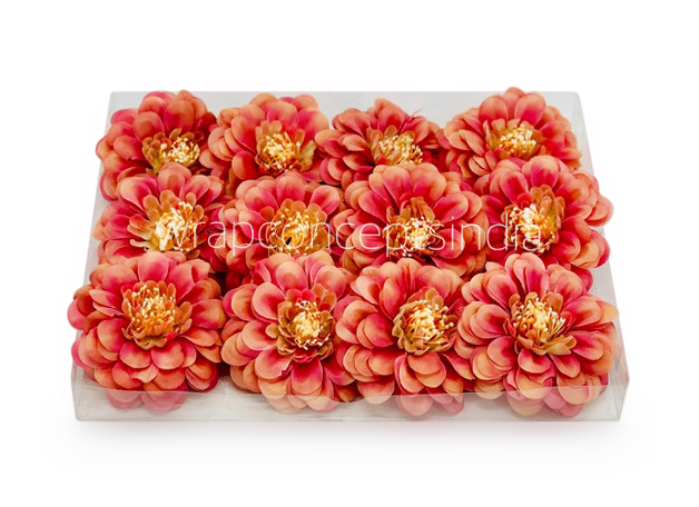 Dahlia - Blush With Hints of Pink Dahlia - Blush With Hints of Pink