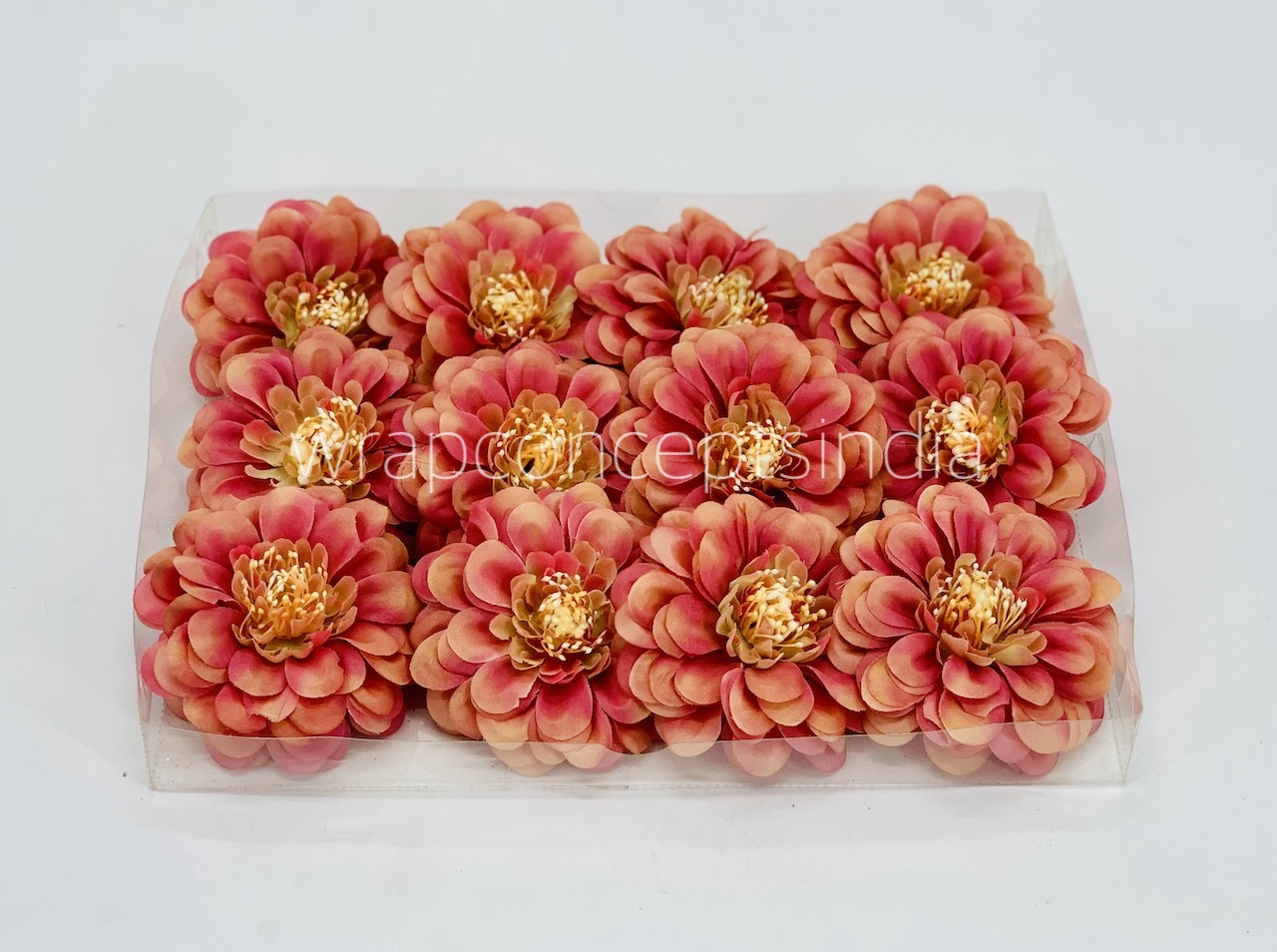 Dahlia-Blush With Hints of Pink Dahlia-Blush With Hints of Pink