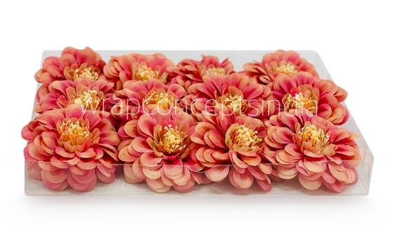 Dahlia - Blush With Hints of Pink Dahlia - Blush With Hints of Pink