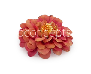 Dahlia - Blush With Hints of Pink Dahlia - Blush With Hints of Pink