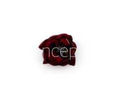 Bell Flower - Red Bell Flower - Red