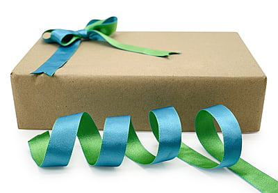 Reversible Ribbon - Parrot Green with Turquoise Blue Reversible Ribbon - Parrot Green with Turquoise Blue
