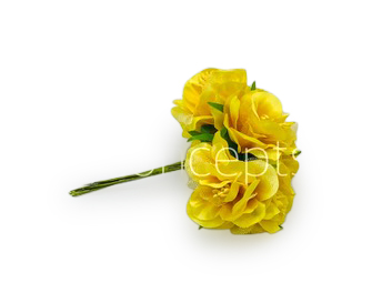 Yellow Flower On Stick with Pollen Yellow Flower On Stick with Pollen