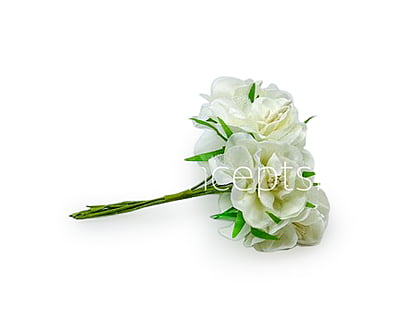 Ivory Flower On Stick with Pollen Ivory Flower On Stick with Pollen