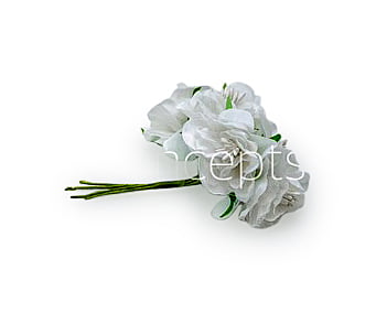 White Flower On Stick with Pollen White Flower On Stick with Pollen