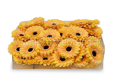 Saffron Gerberas
