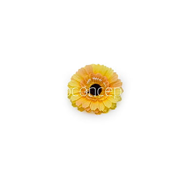 Saffron Gerberas Saffron Gerberas