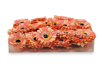 Peach with hints of Lemon Gerberas Peach with hints of Lemon Gerberas