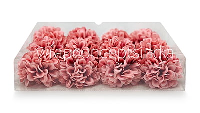 Pinkish Red Carnation