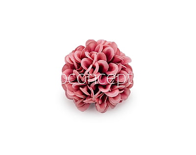 Pinkish Red Carnation
