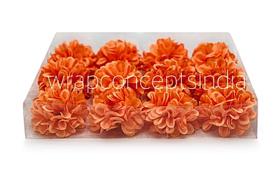 Flame Carnation