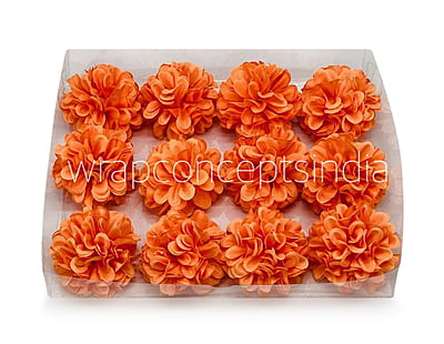 Flame Carnation